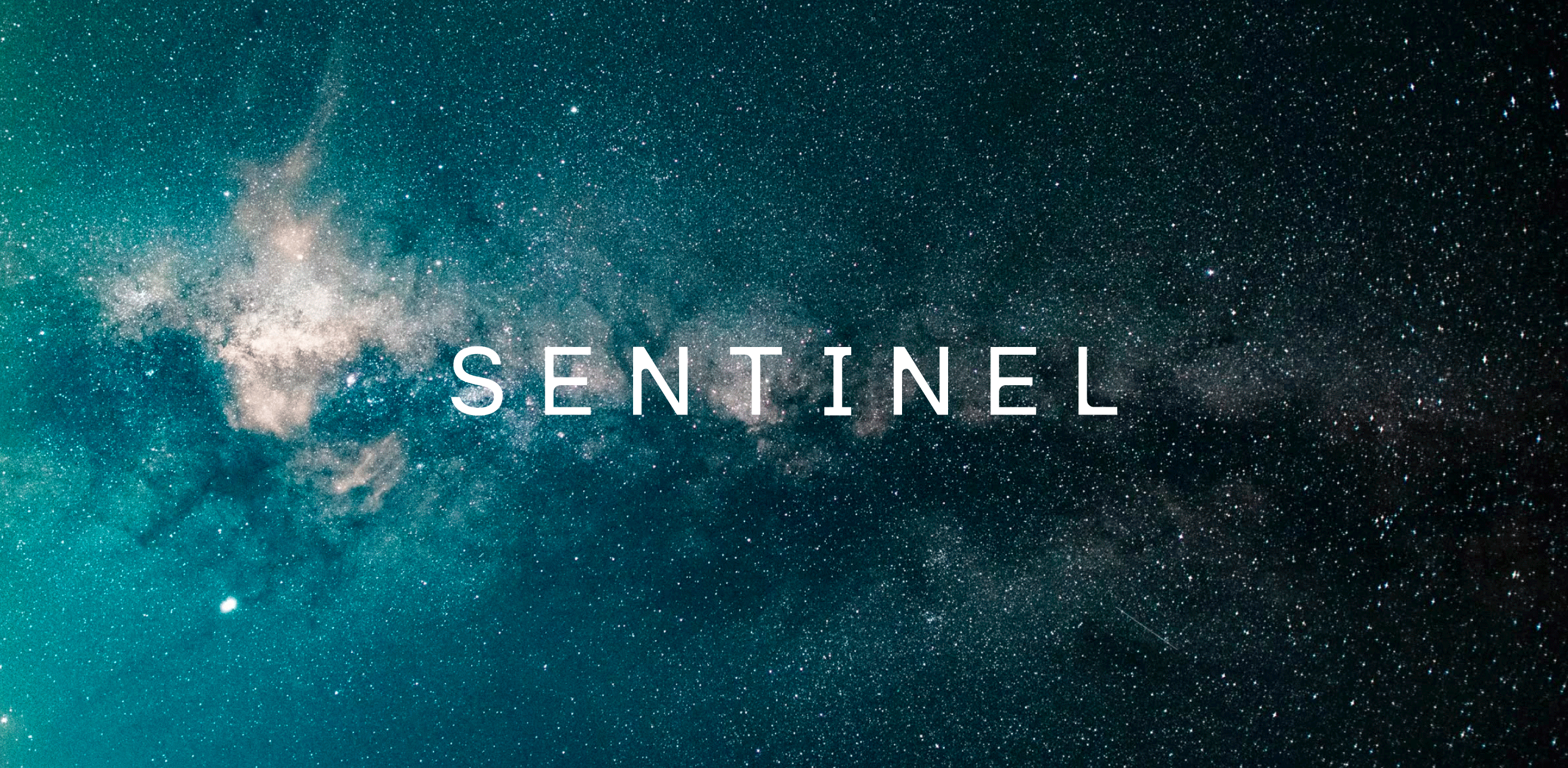 Sentinel, image 8